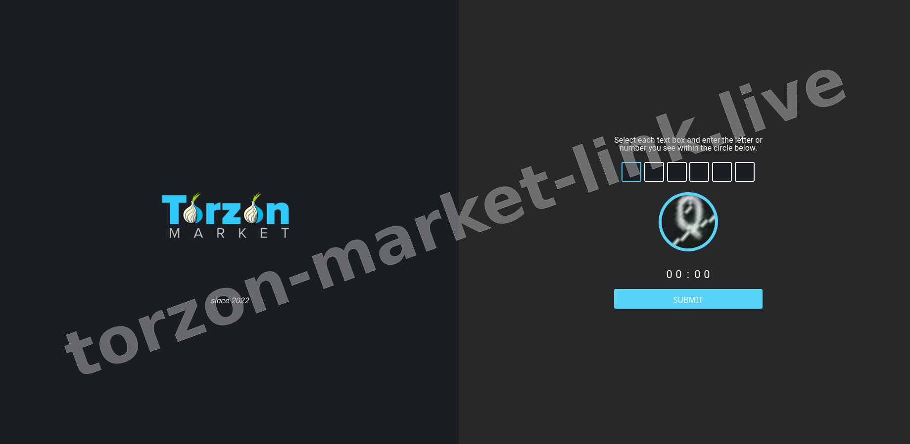 Torzon Market DDoS Protection Challenge